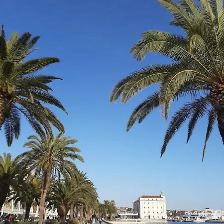 Sunshine- Center Of スプリト