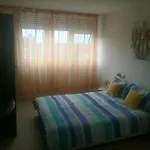 Appartement Sunshine- Center Of *