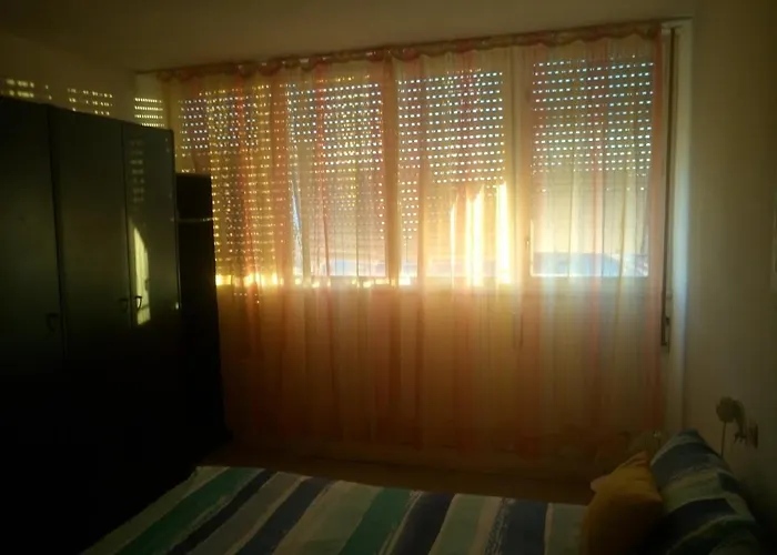 Sunshine- Center Of *