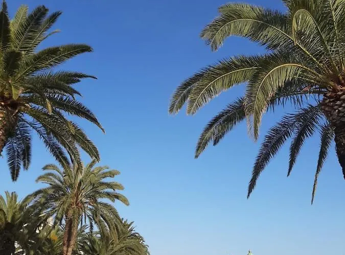 Sunshine- Center Of Split