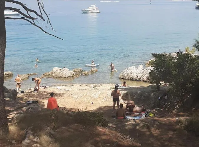 Sunshine- Center Of Daire Split